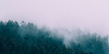 agency-blog-3